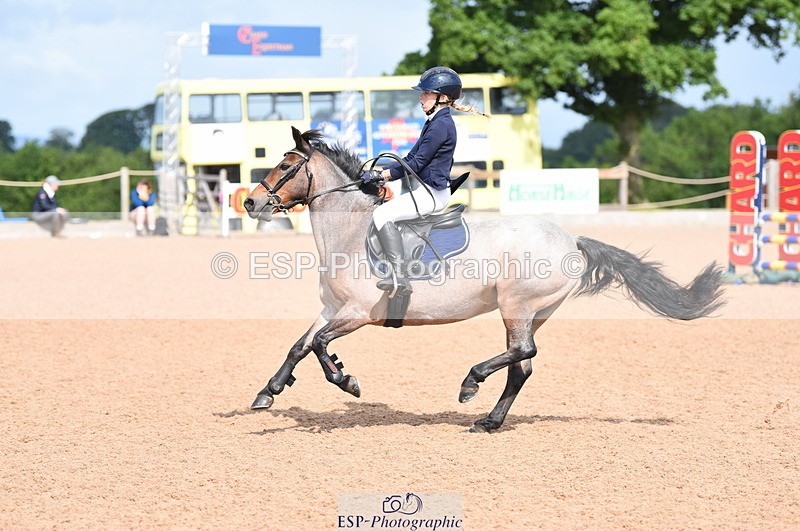 230716A-100312-01942 - Cls 35 Springboard 128cm & 138cm