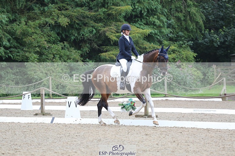 240720-150025-06280 - 124-Sophie_Savage-Two_Tone_Ted