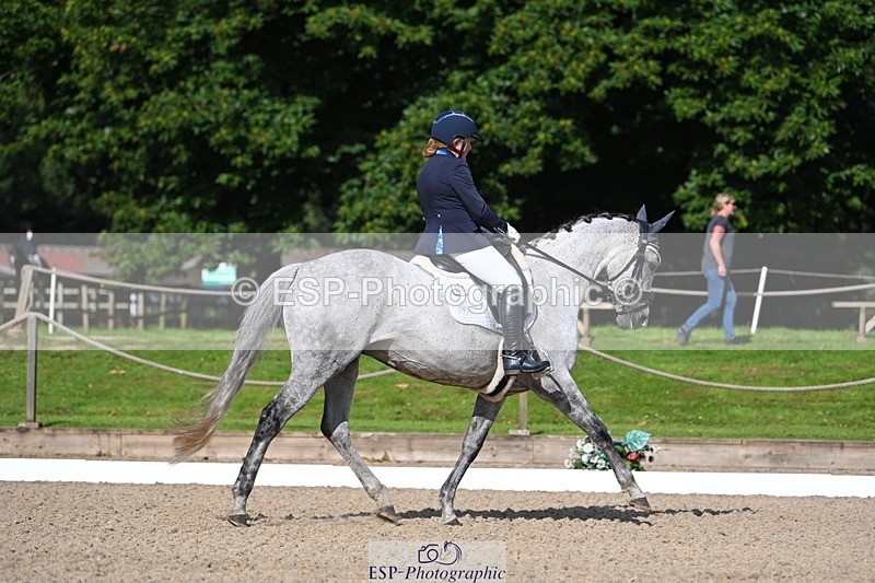 230811-093027-00024 - Cls 3 Adv Medium Bronze Start to 10.25 break