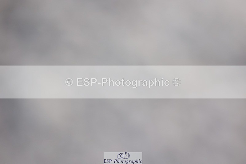 241201X-130913-01458 - Cls 26 Springboard