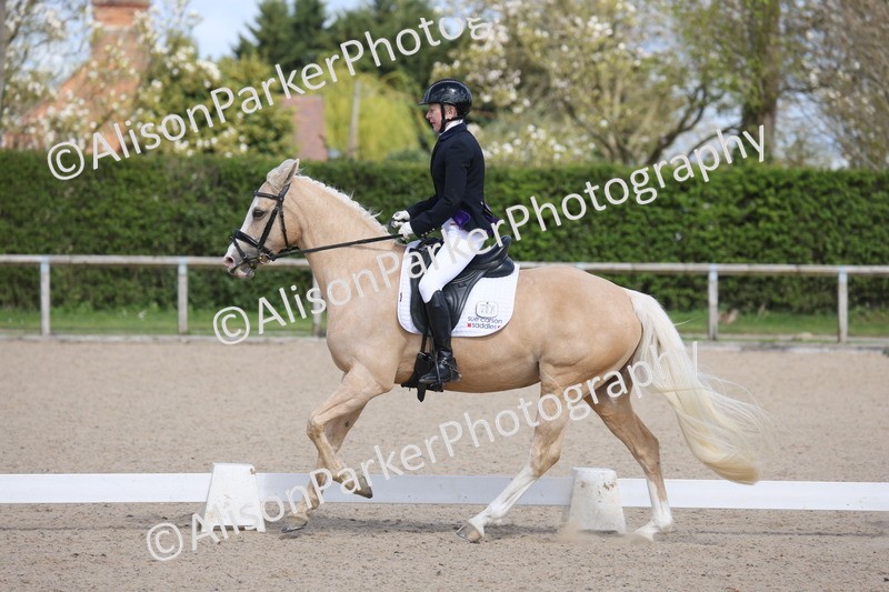 20260405-0319 - Class 4 - Novice 6