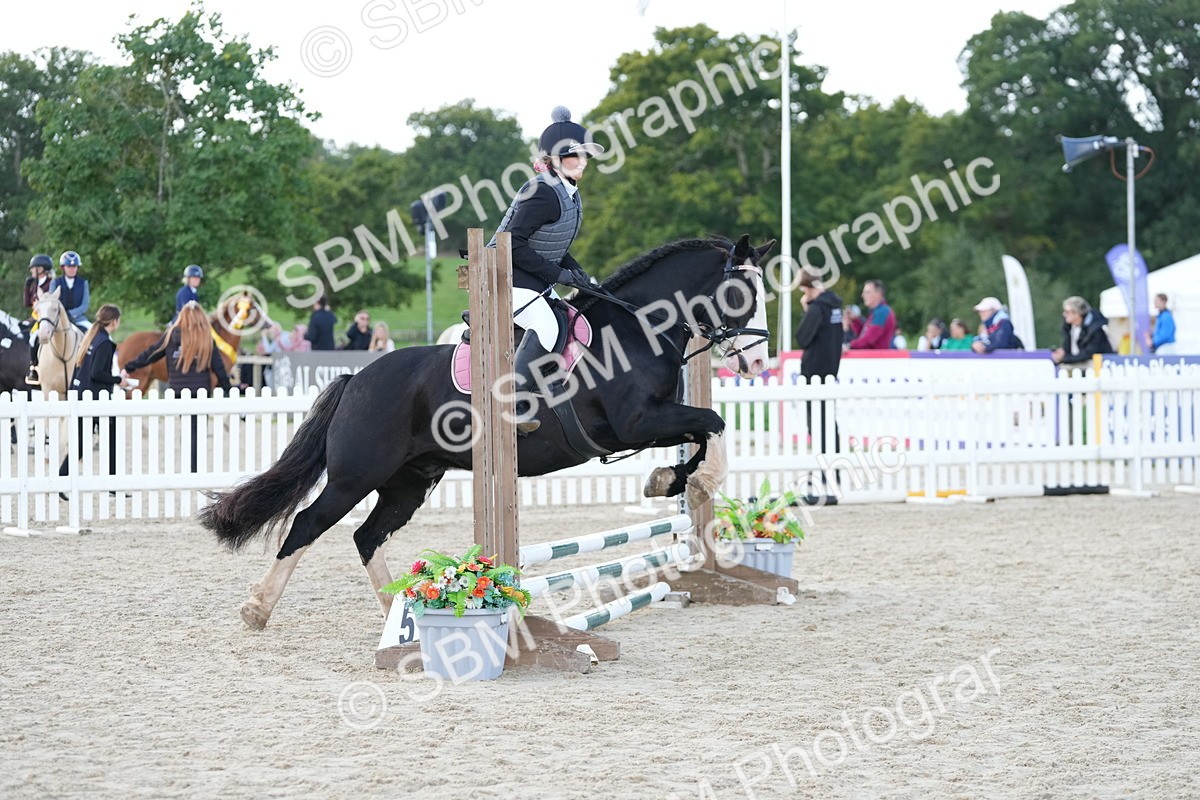 SBM_17887 - J58 - Clear Round 50cm