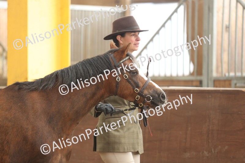 20251109-0591 - Class 22 - Geldings 4 Years and over