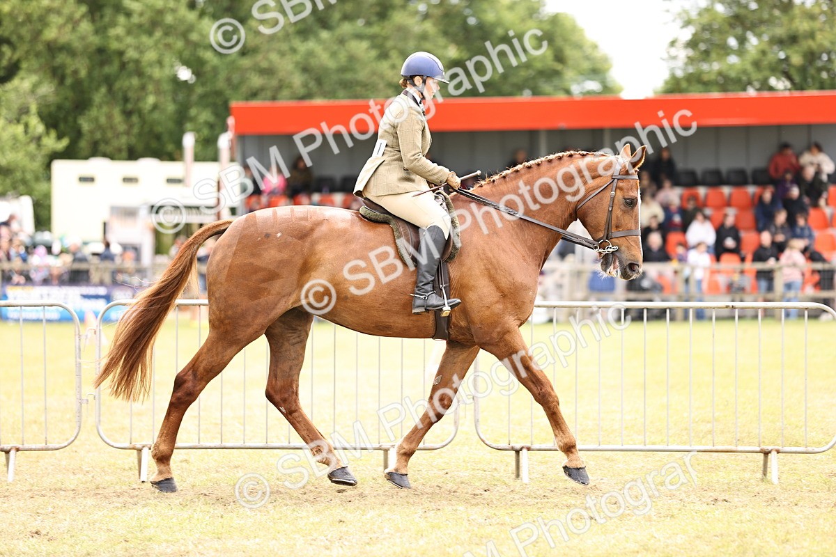 SBM_14647 - Class 88-89 - LIHS BSHA Rising Star of Ridden Hunter Type