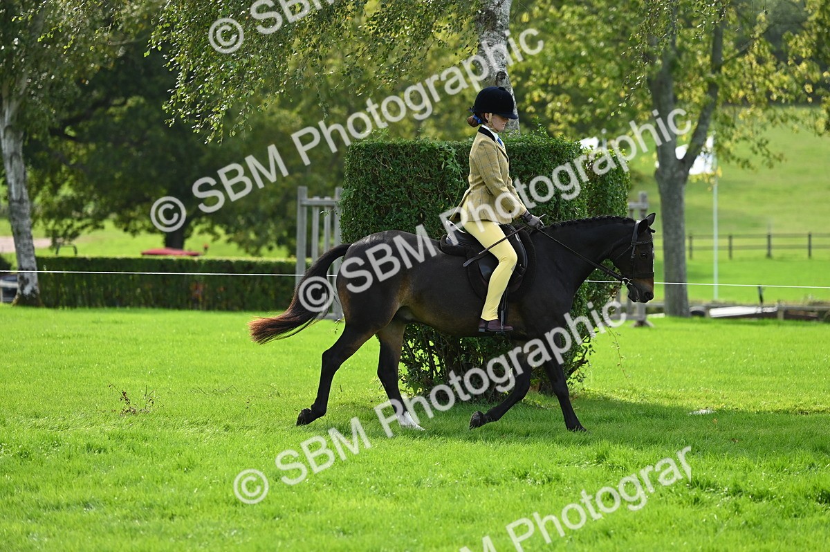 SBM_02616 - S3 - TSR Ridden Pony Showing