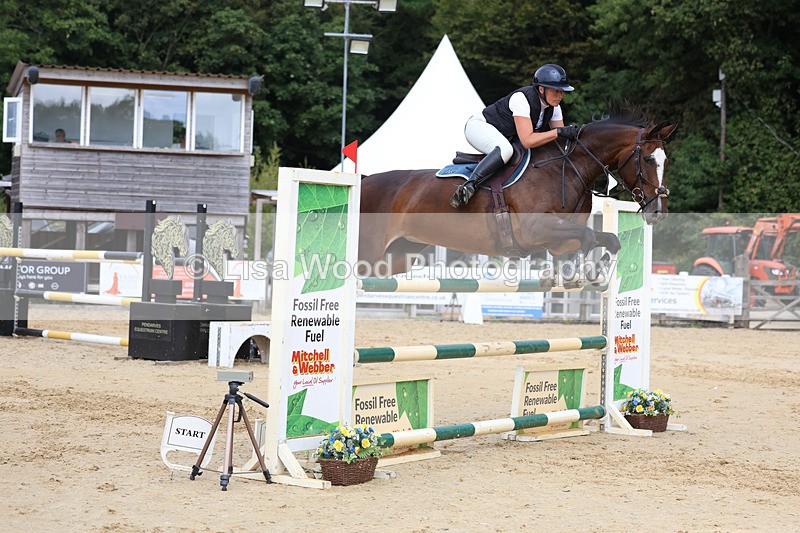 3E7A4443 - Class 8: Senior Foxhunter/1.20 open