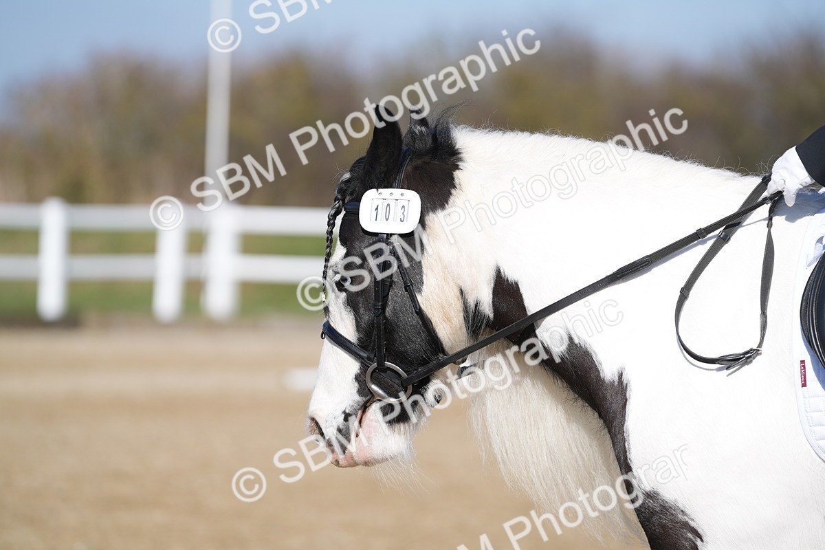 SBM_002019 - Class 3 - P1