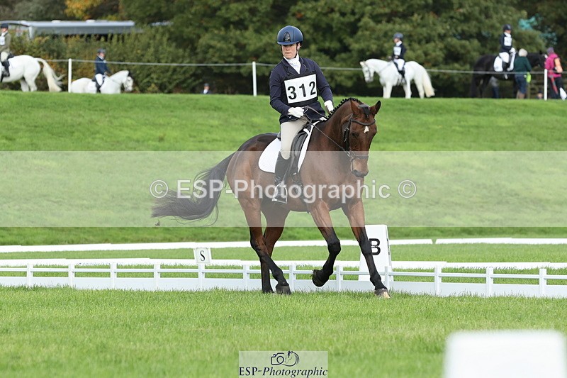 251023A-112131-03300 - D-312-Laura.Sharpe