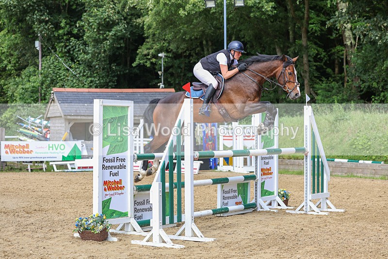 3E7A7611 - Class 9: Senior Foxhunter/1.20 open