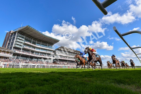 240824-Race 6-Tropical Storm-4637 - Race 6 4.45pm Julia Graves Roses Stakes