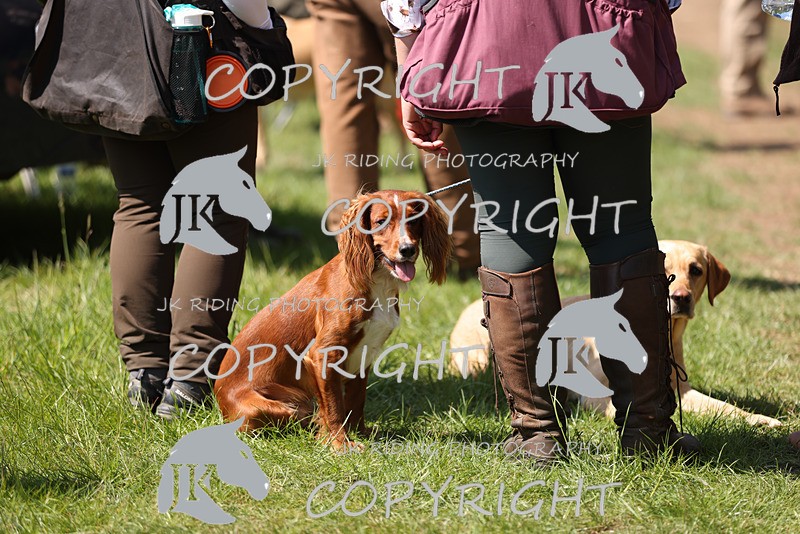 2R6A8876 - 13 Harriet