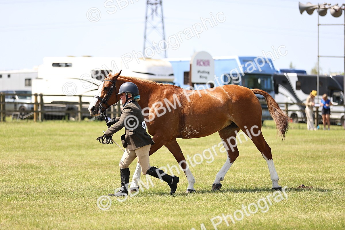 SBM_15225 - Class 79-80 - LIHS BSHA Rising Star Ridden Hunter