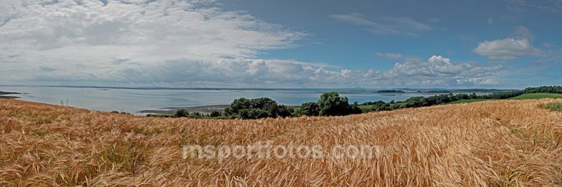Strangford Lough from Harrisons - Irelands landscapes