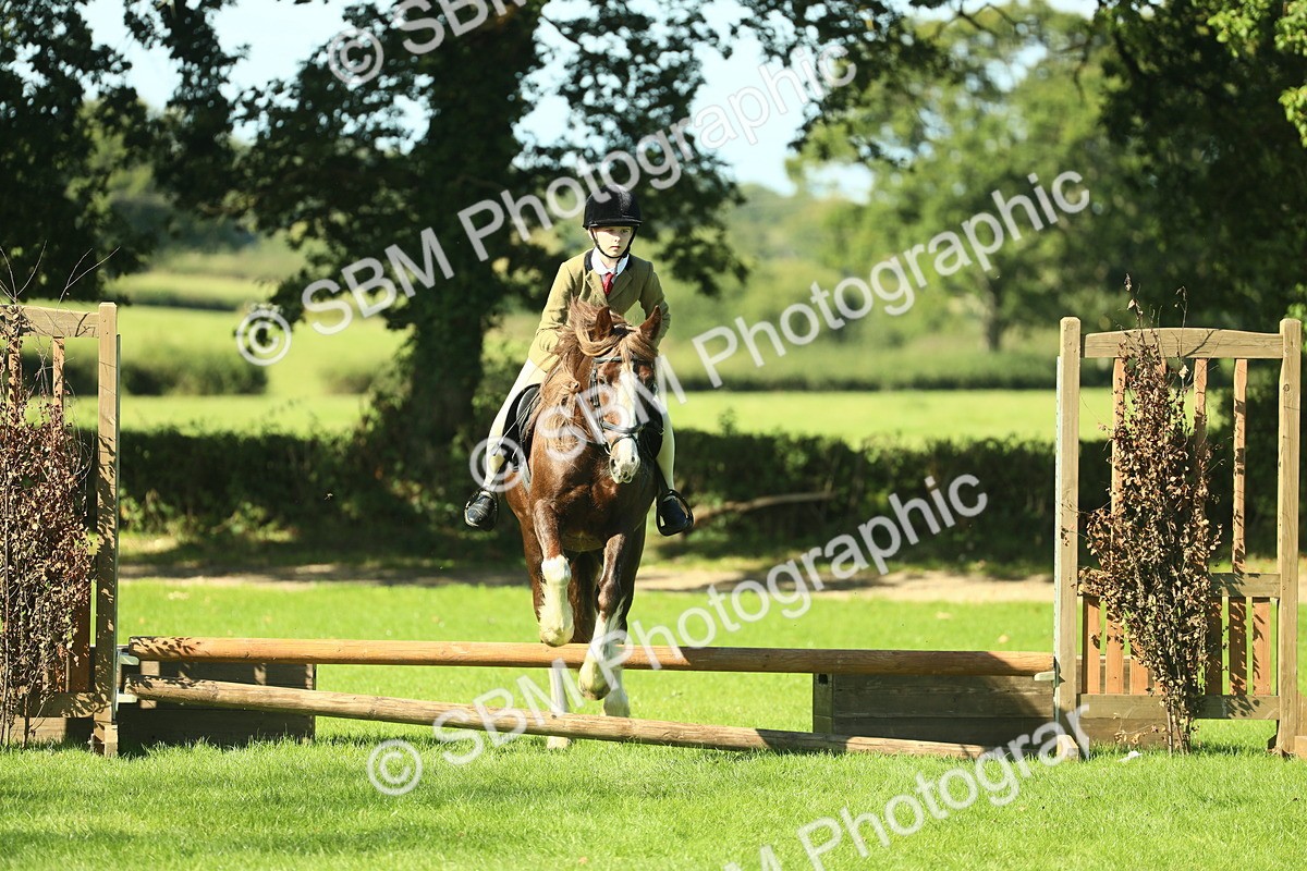 SBM_37549 - S29 - Novice & Newcomers Working Hunter Pony