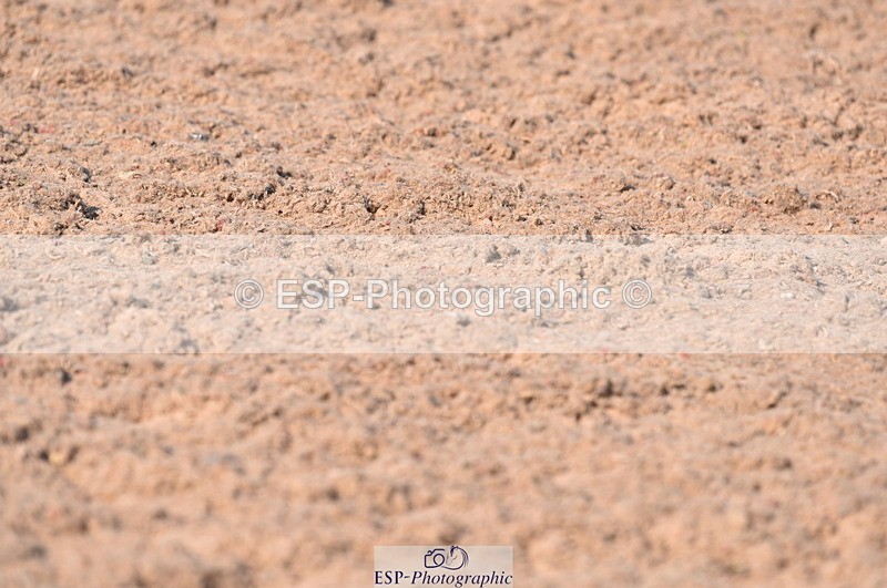 230606A-172531-00195 - 80cm