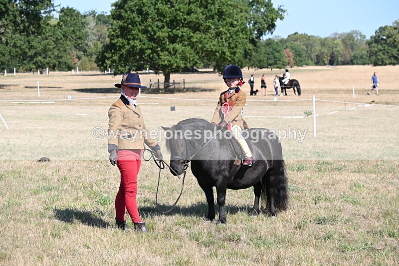 WJ6_7663 - Class 34 Judges Choice