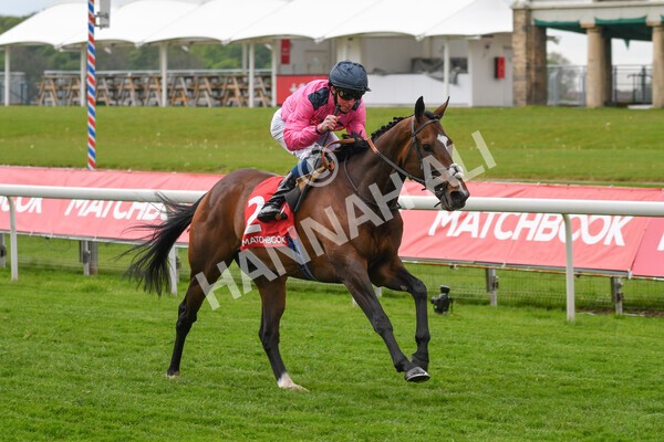 yr14052021r4-23 - Race 4 3.10pm The Matchbook Yorkshire Cup
