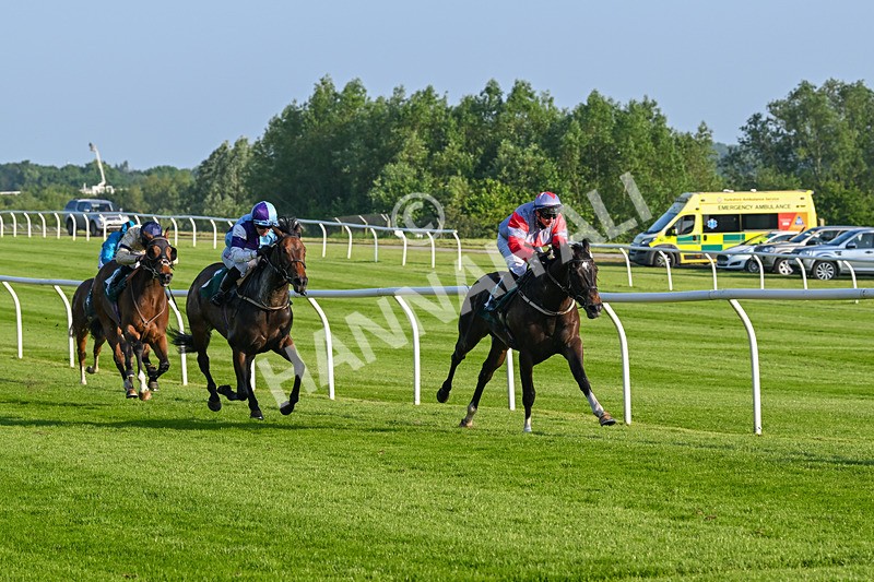 310524-Race 2-Dandy Fitz-8486 - Race 2