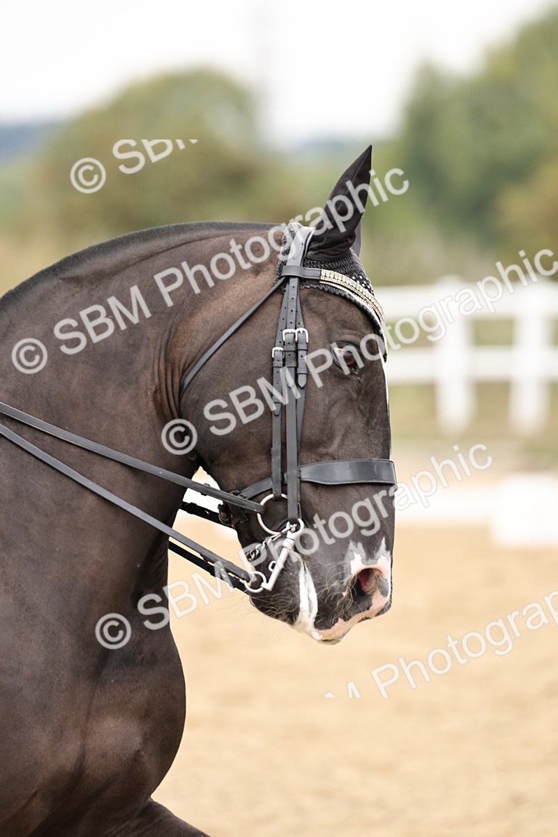 SBM_019753 - Class 18 - Elementary 5