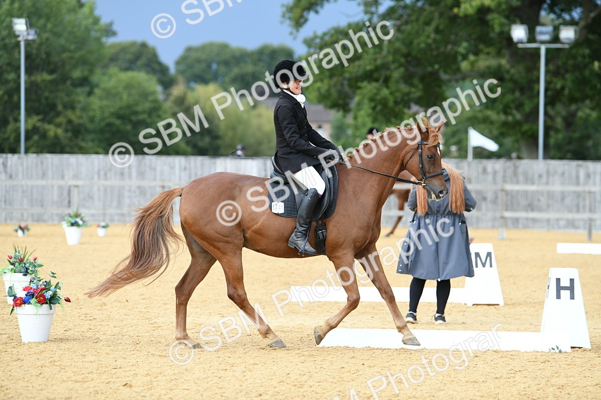 SBM_10966 - D28 Elementary Taster Elementary 42