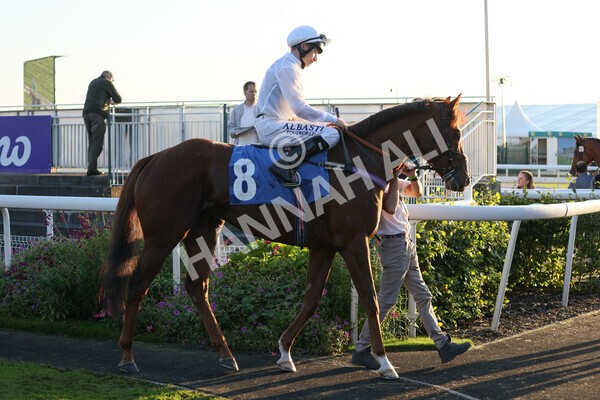 yr08102021r7-13 - Race 7 5.25pm The IRE Incentive, It Pays To Buy Irish Handicap