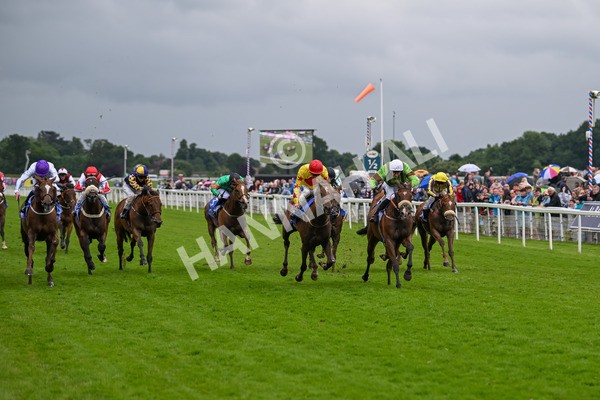 150624-Race 2-Tolstoy-6848 - Race 2 2.25pm Sky Bet Proud To Support Macmillan Handicap