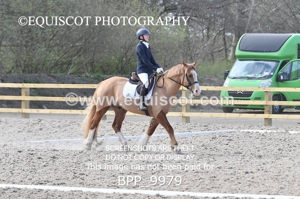 BPP_9979 - MY QUEST NOVICE 2