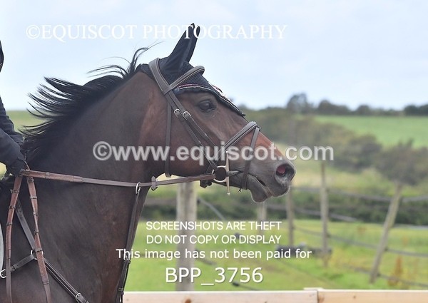 BPP_3756 - CLASS 5  0.95m Amateur Championship Qualifier
