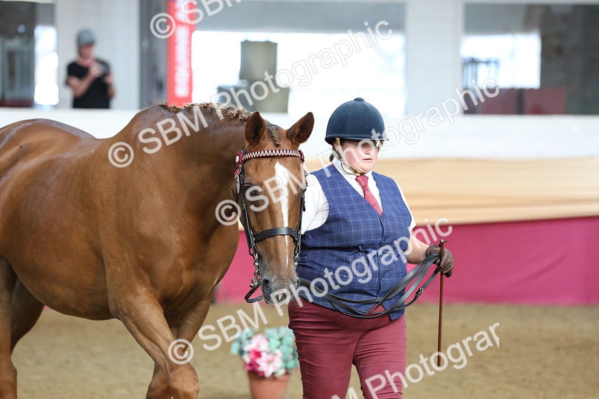 SBM_21888 - Class 901 - Supreme Final - IH  Diamond