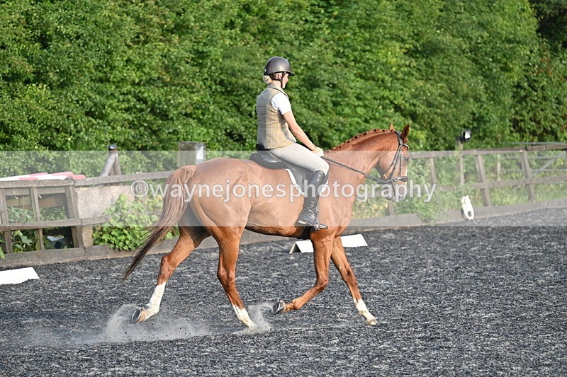 WJ7_0375 - Time 19:38 to 20:00