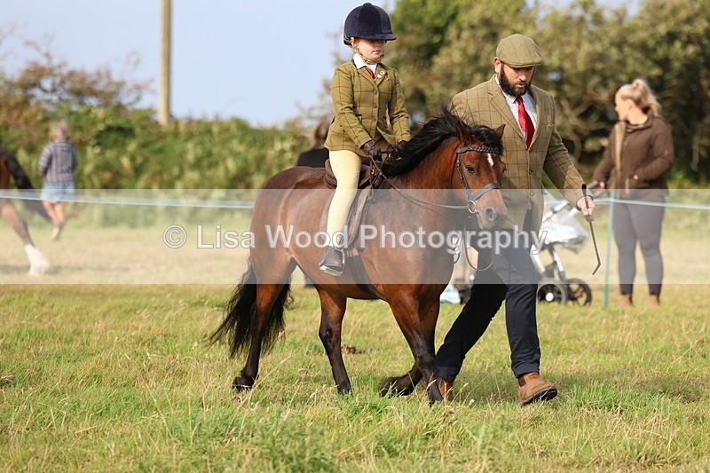 3E7A3632 - Class 2: Lead rein