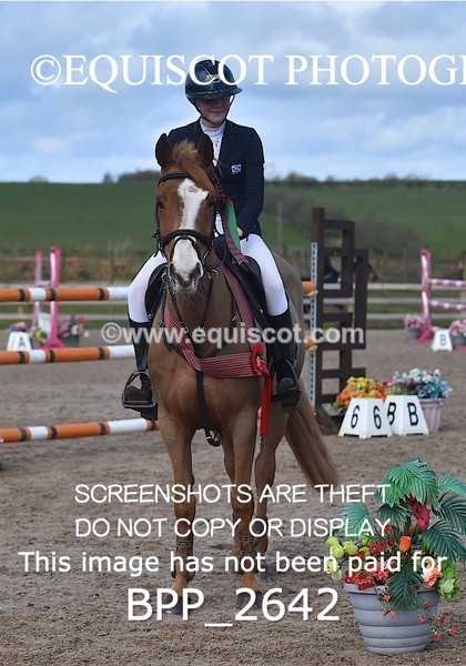 BPP_2642 - CLASS 28 48cm Pony Royal Highland Show Championship Qualifier