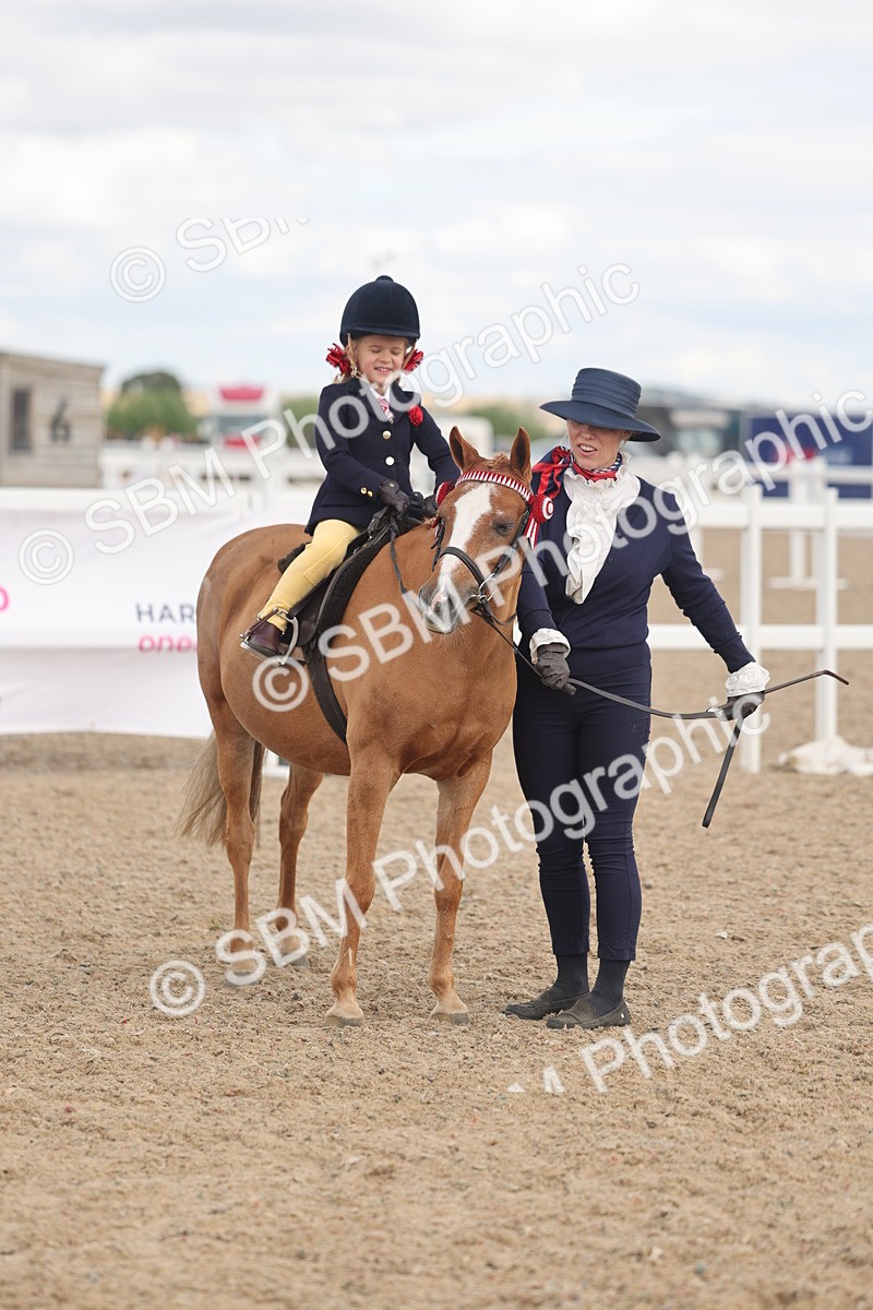 SBM_15815 - Class 309 - Lead Rein Pony