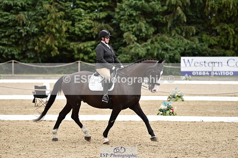 140110A-042524-12143 - 160-Rosey.Bradburn-High.Spirits.II