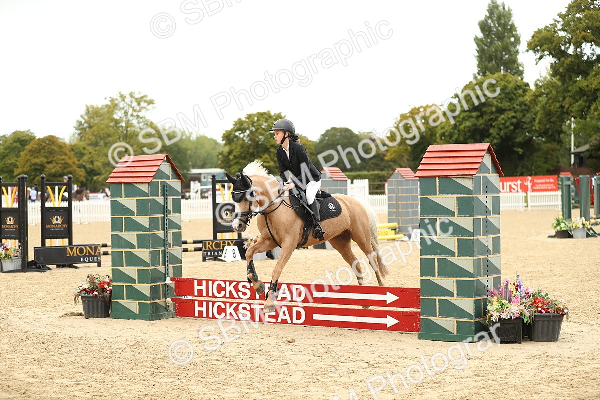 SBM_34237 - J60 Clear Round 50cm