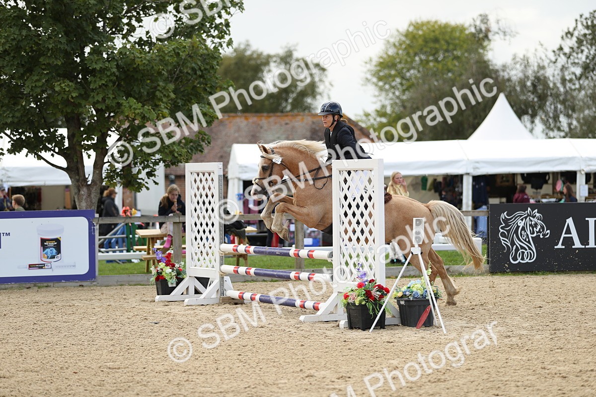 SBM_09993 - J36 - Veteran Rider 70cm