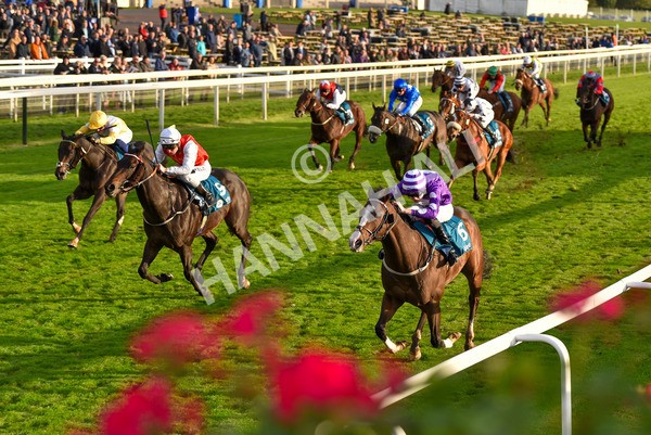 131023-Race 6-Wen Moon-9891 - Race 6 5.00pm Copper Knight - Winning Most Horse At York Handicap