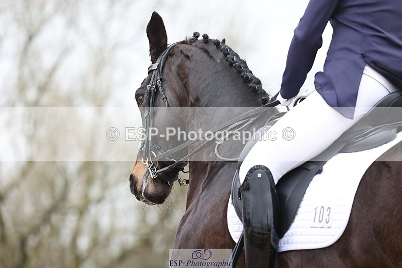 240121A-133944-01655 - Cls 14 Adv Medium 98