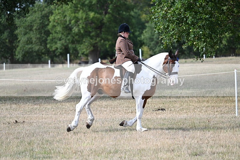 WJ7_7677 - Ridden Championship