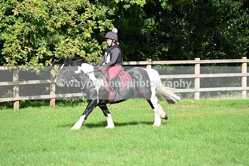 WJ7_3746 - 40cm Time 10:26 to 10:42