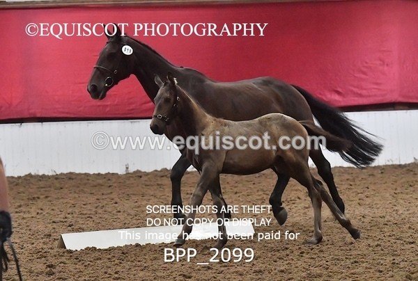 BPP_2099