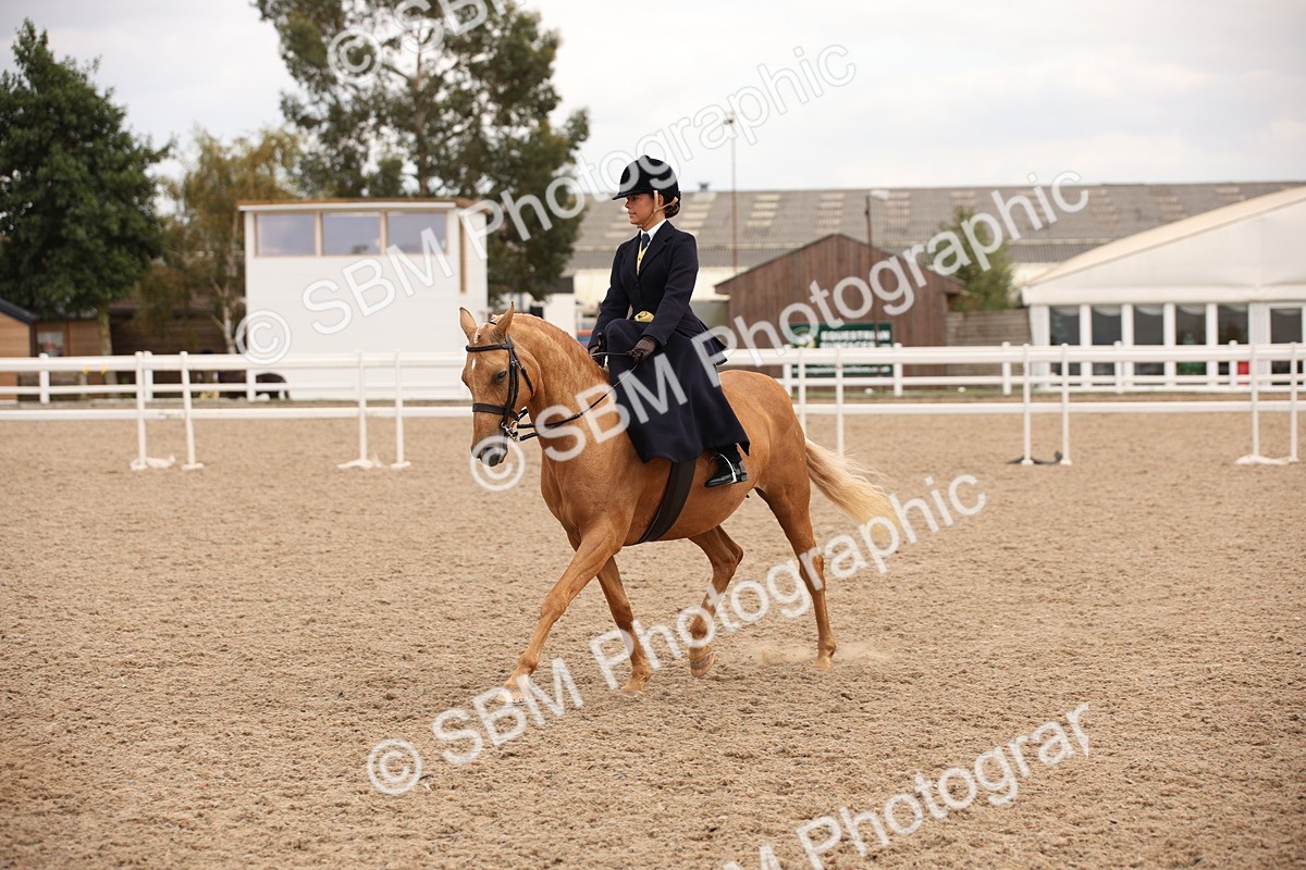 SBM_05432 - Class 22 SSA Equitation