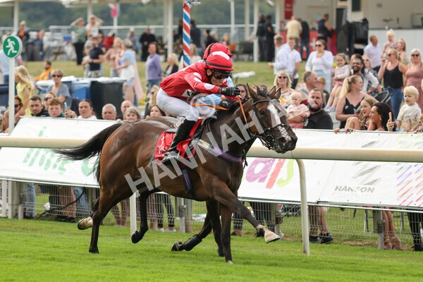 yr04092022p1-39 - 12.30pm 148cm Conditions Pony Race