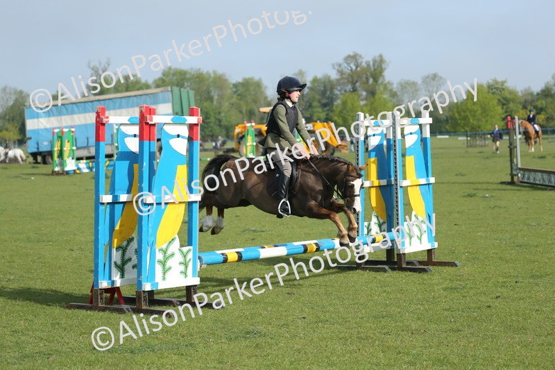 20260426-0033 - Class 13 - Rookie Jumping 50cm