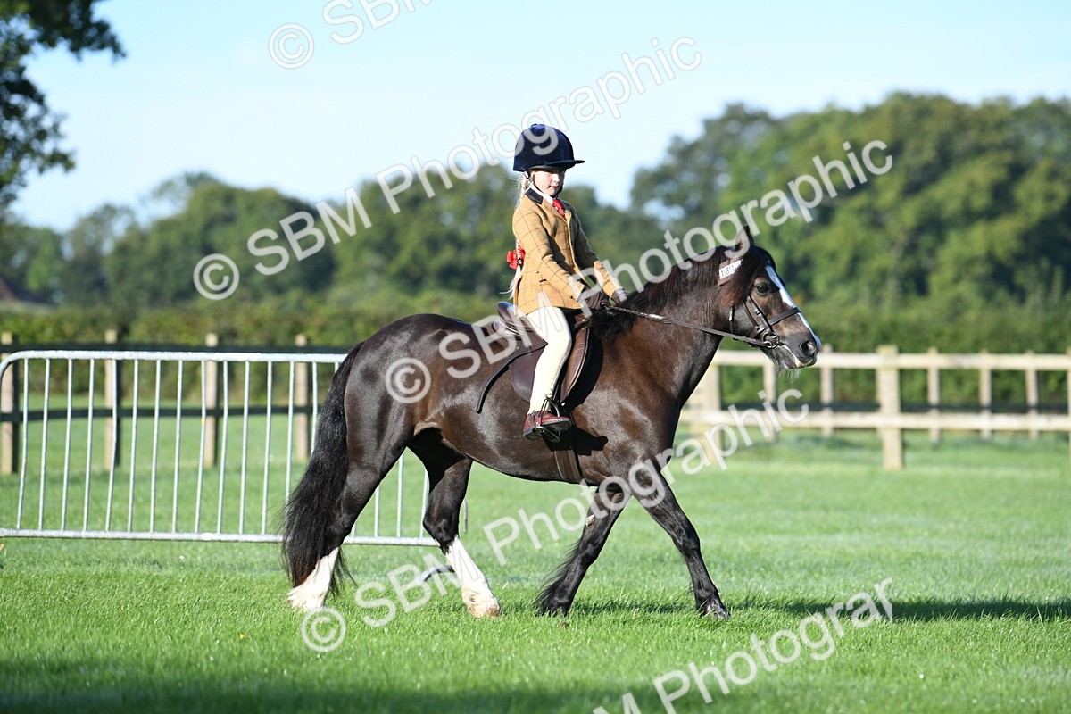 SBM_33940 - S16 - Condition & Turnout - Ridden