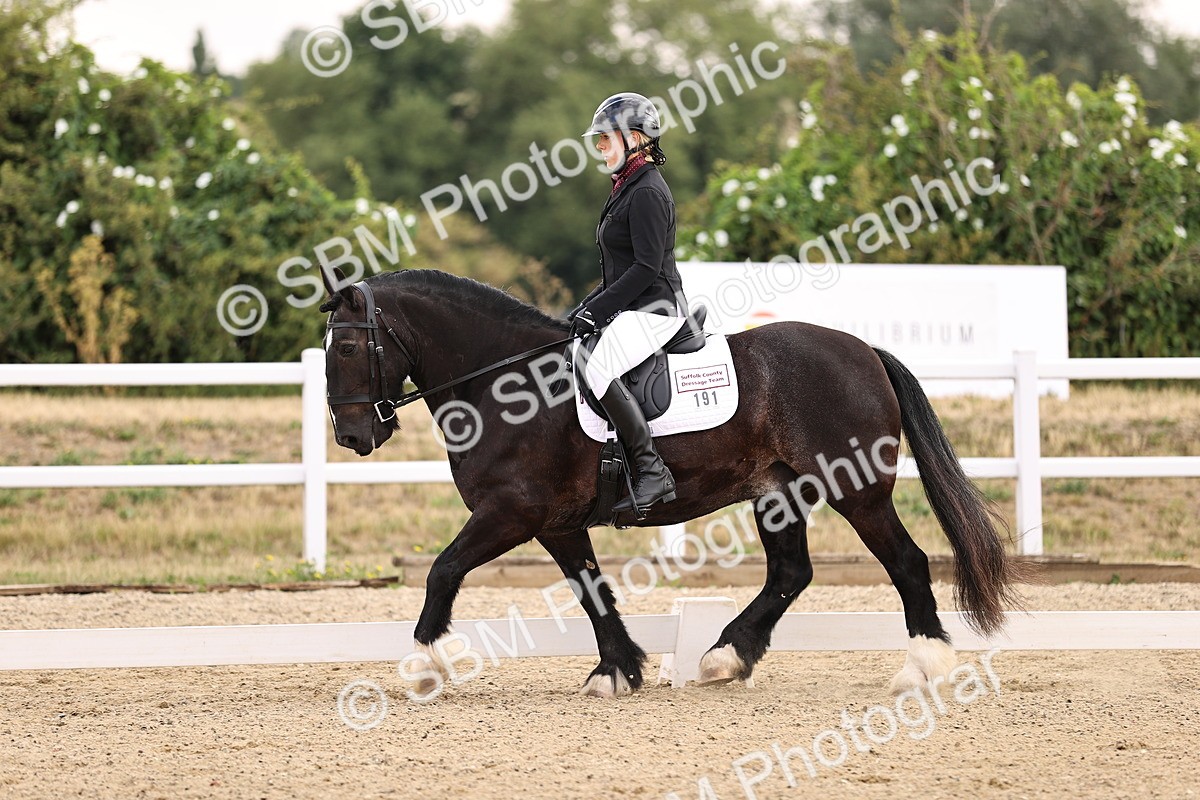 SBM_005199 - Intro 3 - 8.30-9.30