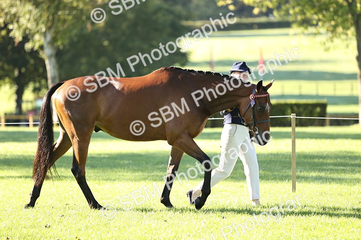 SBM_15771 - S1 - TSR in Hand Horse & Pony Showing