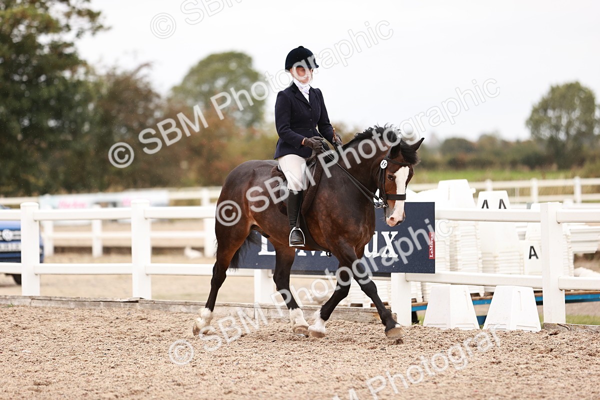 SBM_19036 - Class 422 - Ridden M&M