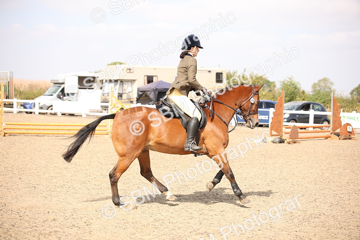 SBM_14149 - Class 407a - Working Veteran 60cm (15-19