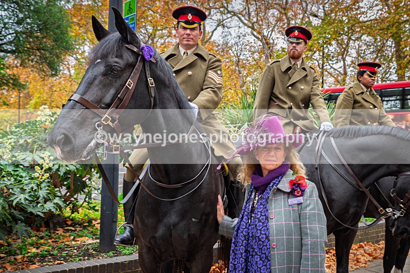 Z62_4505 - Animals In War Memorial 2025 - Park Lane, London